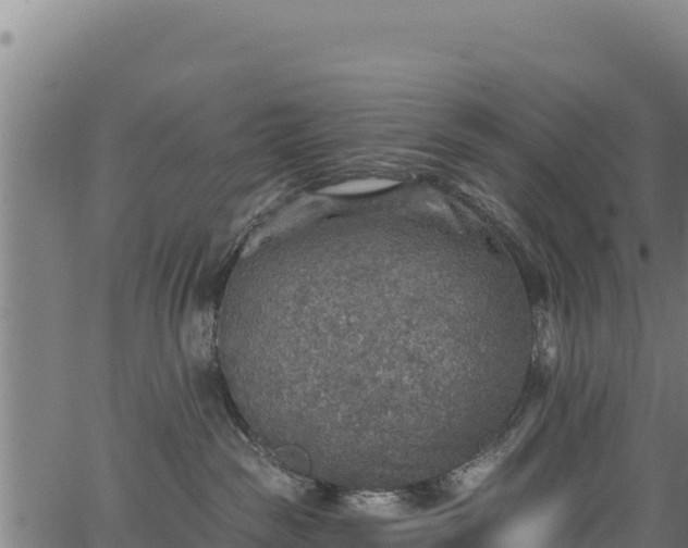 X0000066950189200603311451