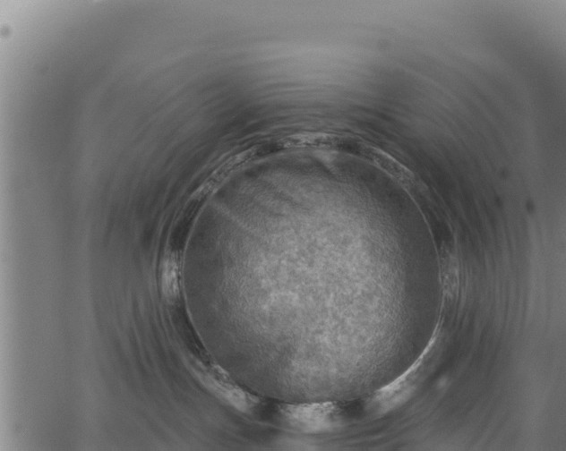 X0000066950191200603311451