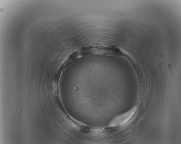 X0000066950192200603311451