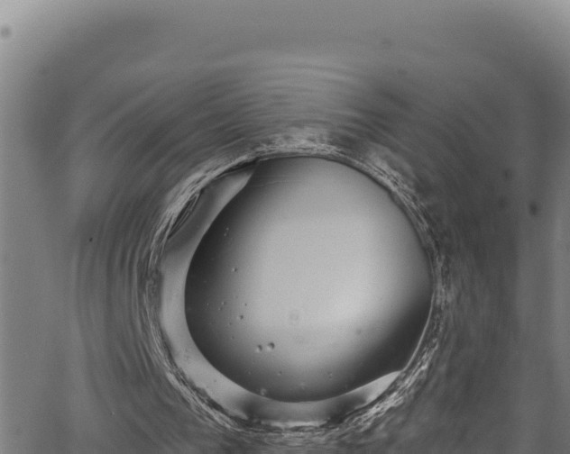 X0000066950193200603311451