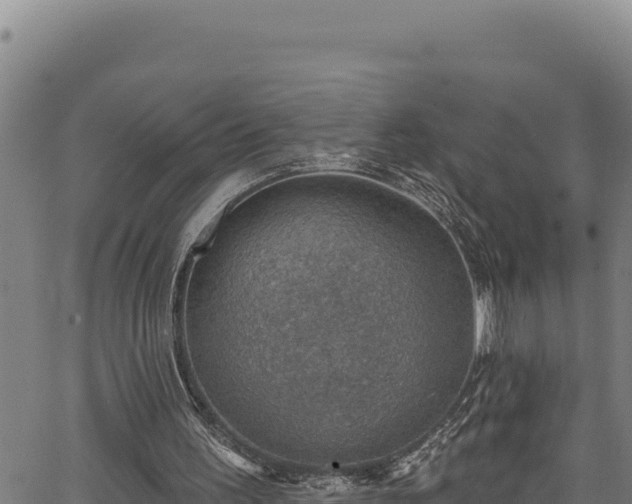 X0000066950195200603311451