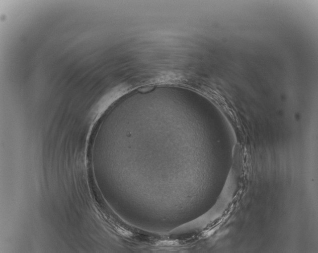 X0000066950196200603311451