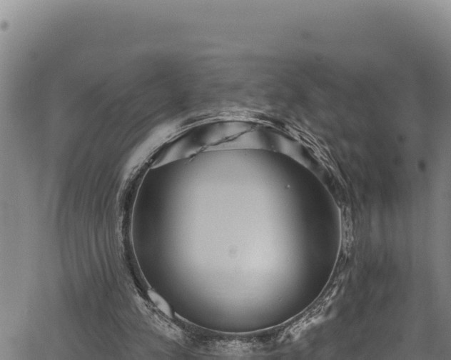 X0000066950197200603311451