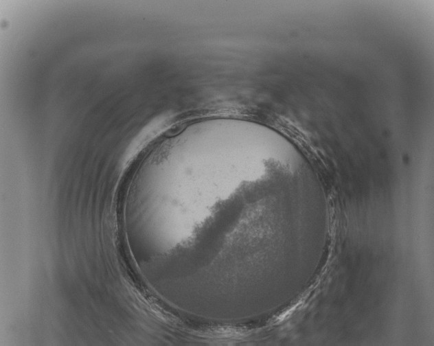 X0000066950198200603311451