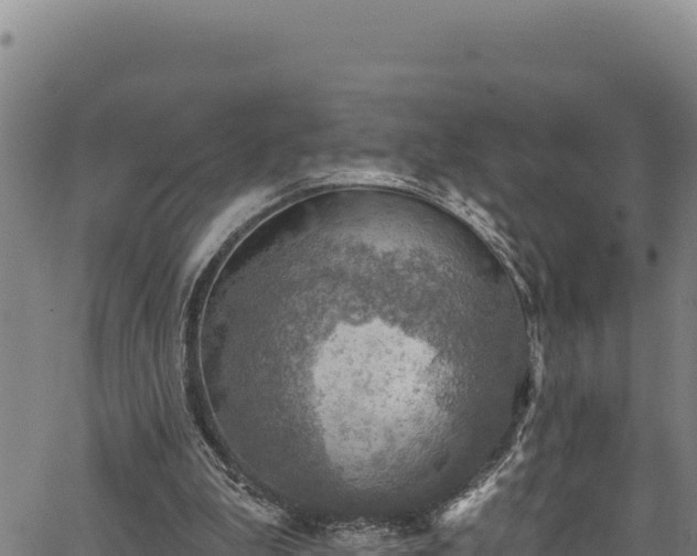 X0000066950199200603311451