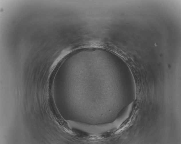 X0000066950200200603311450