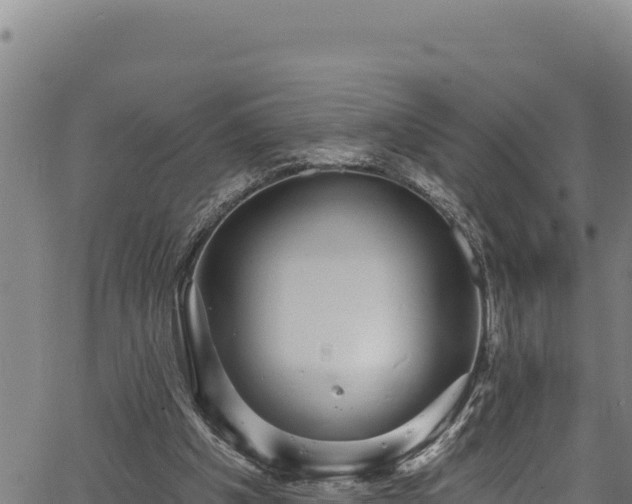 X0000066950201200603311450