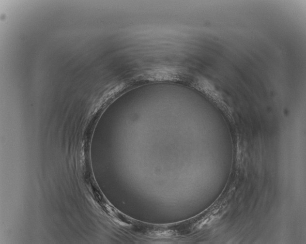 X0000066950202200603311450