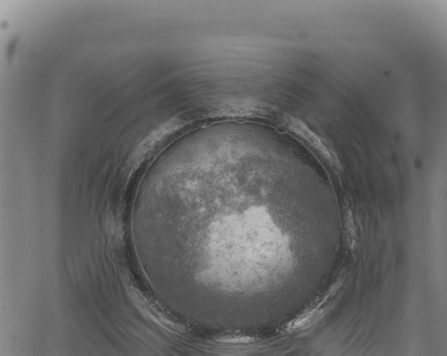 X0000066950203200603311450