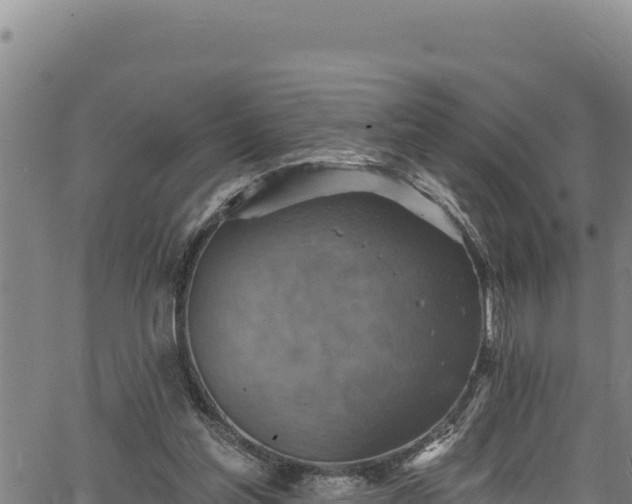 X0000066950205200603311450