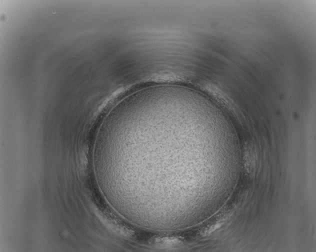 X0000066950208200603311450