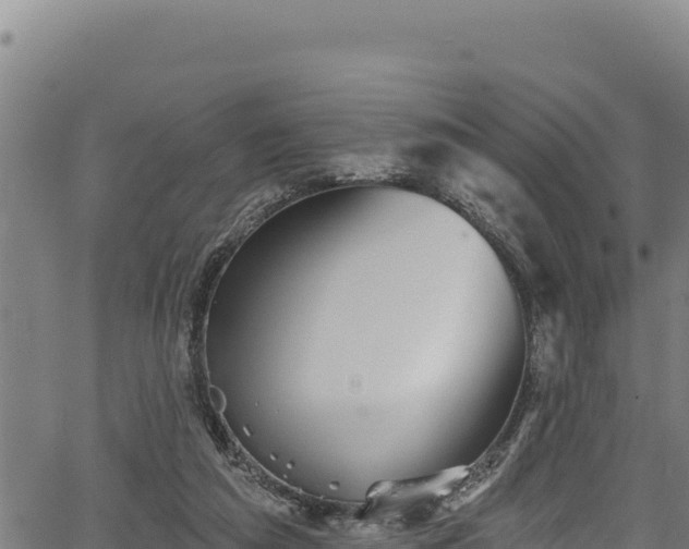 X0000066950209200603311450