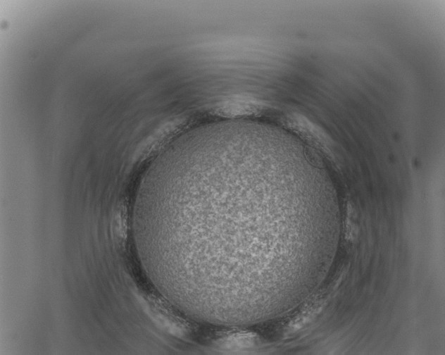 X0000066950210200603311450