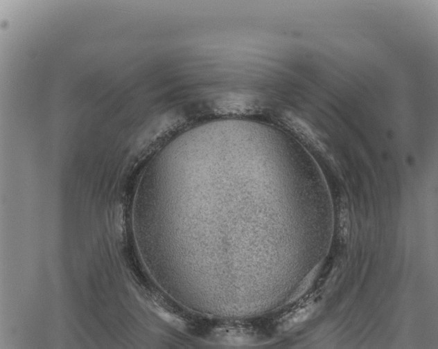 X0000066950211200603311450