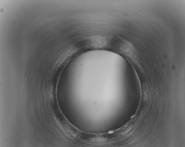 X0000066950212200603311450