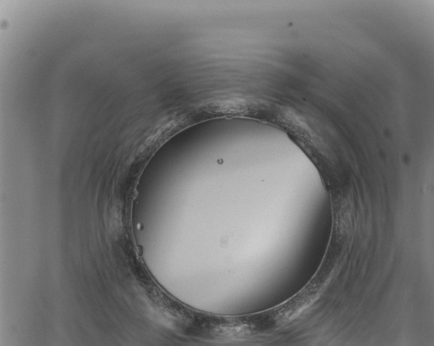 X0000066950213200603311450