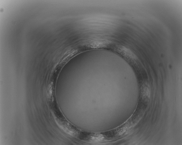 X0000066950214200603311450