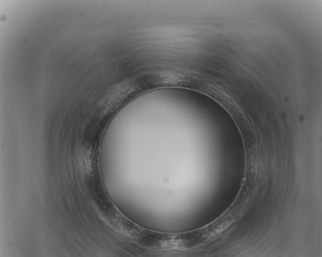 X0000066950216200603311450