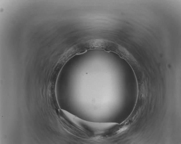 X0000066950217200603311450