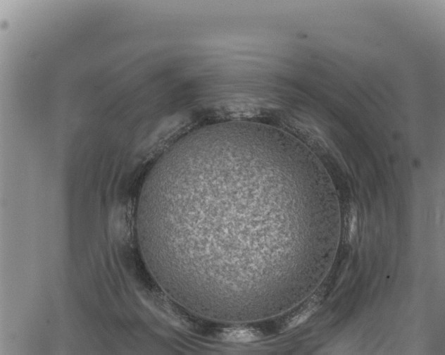 X0000066950218200603311450