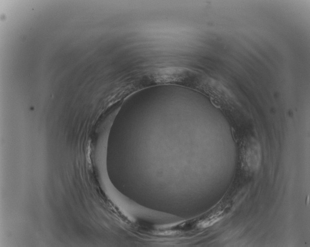 X0000066950219200603311450