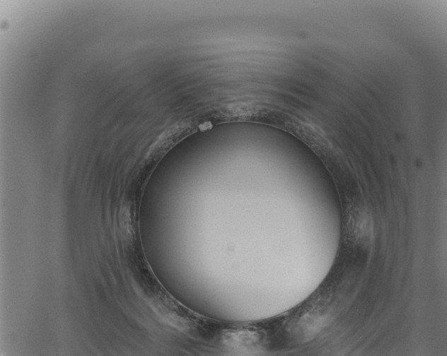 X0000066950220200603311450