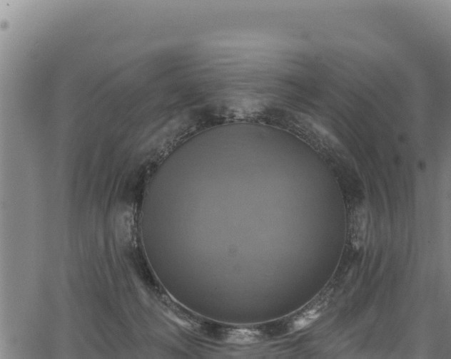 X0000066950222200603311450