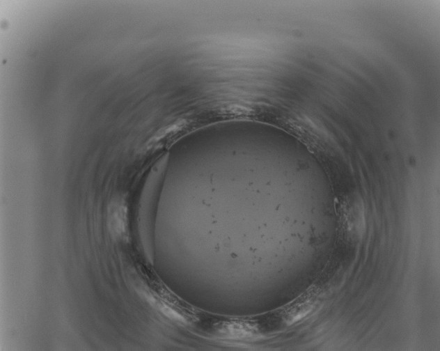 X0000066950223200603311450