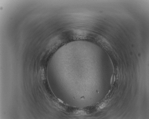 X0000066950224200603311450