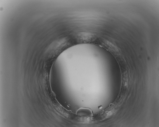 X0000066950225200603311450