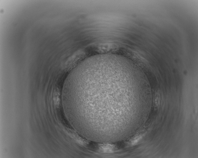 X0000066950226200603311450