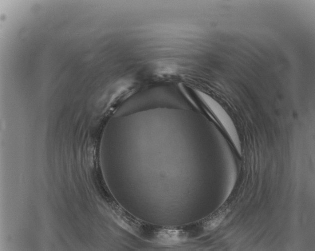 X0000066950227200603311450