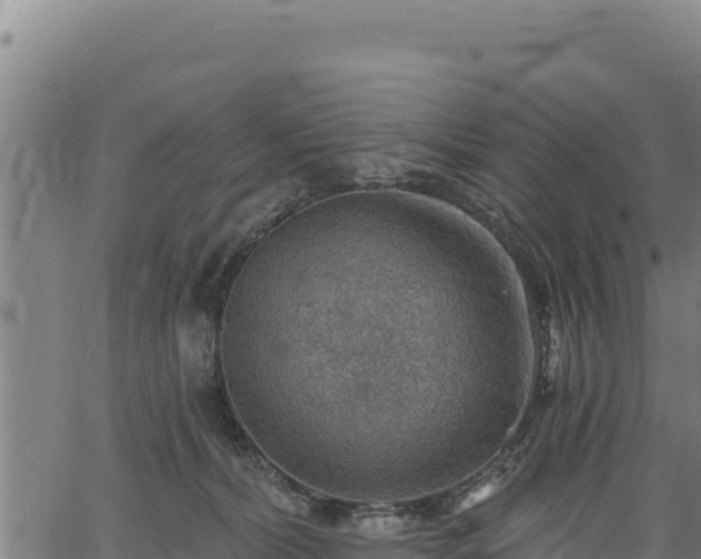 X0000066950228200603311450