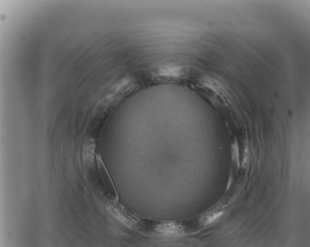 X0000066950231200603311450