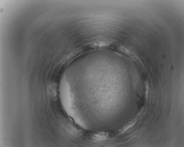 X0000066950232200603311450