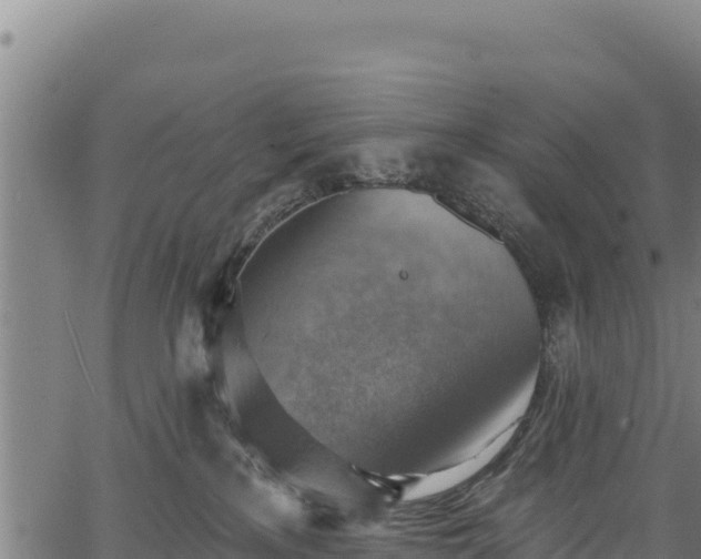 X0000066950233200603311450