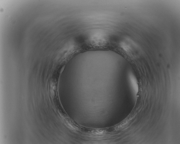 X0000066950235200603311450