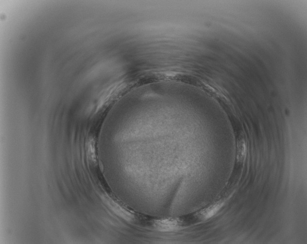 X0000066950238200603311450