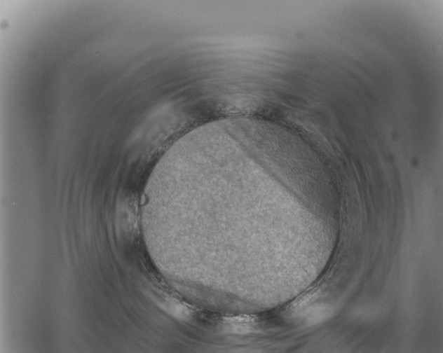 X0000066950240200603311450