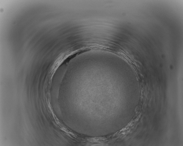 X0000066950241200603311449