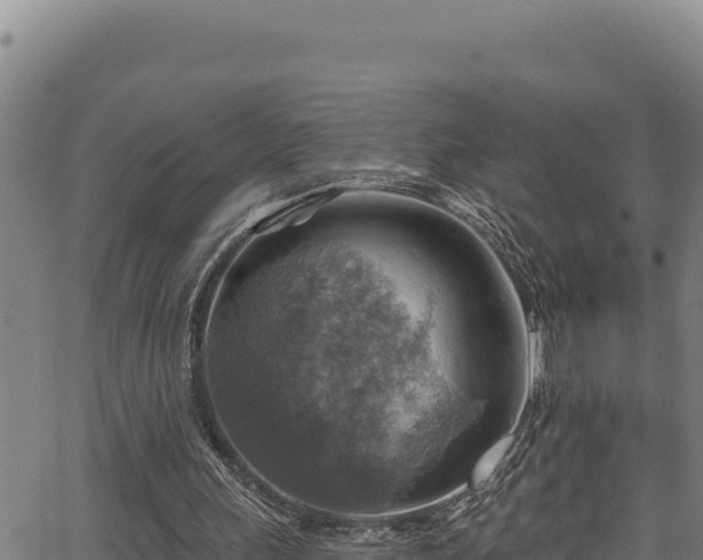 X0000066950243200603311449