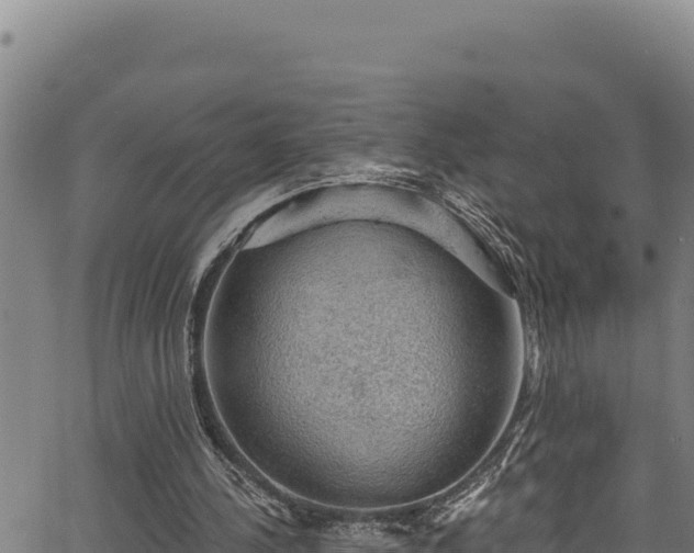 X0000066950244200603311449