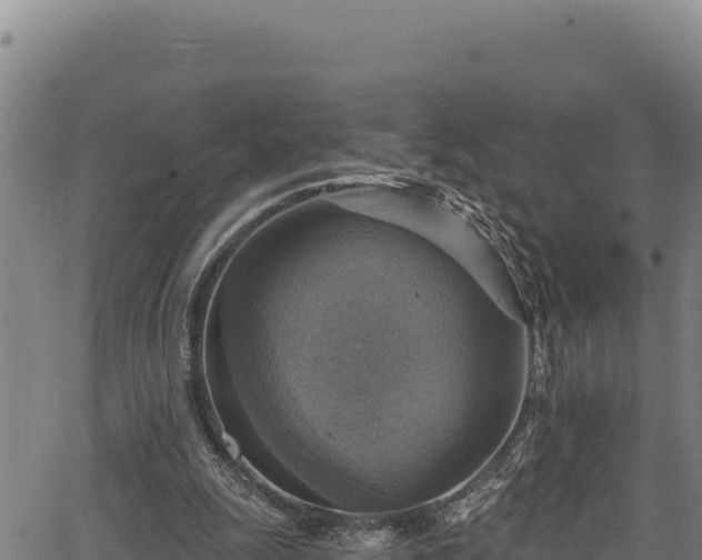 X0000066950247200603311449