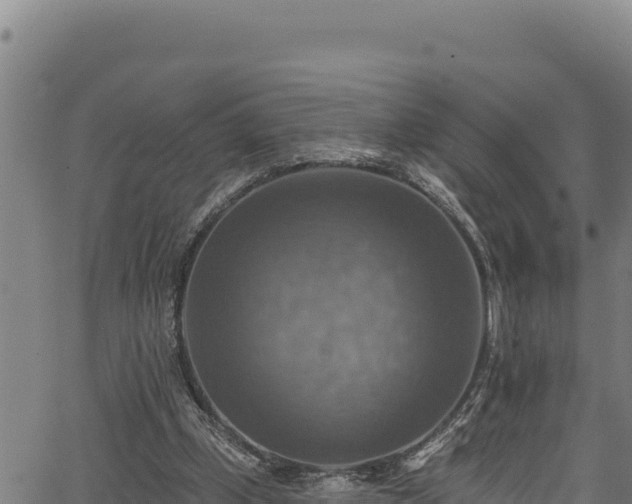 X0000066950249200603311449