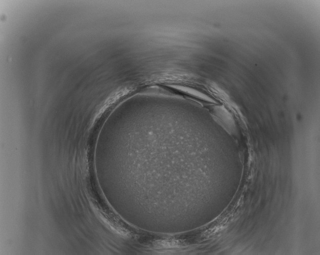 X0000066950250200603311449