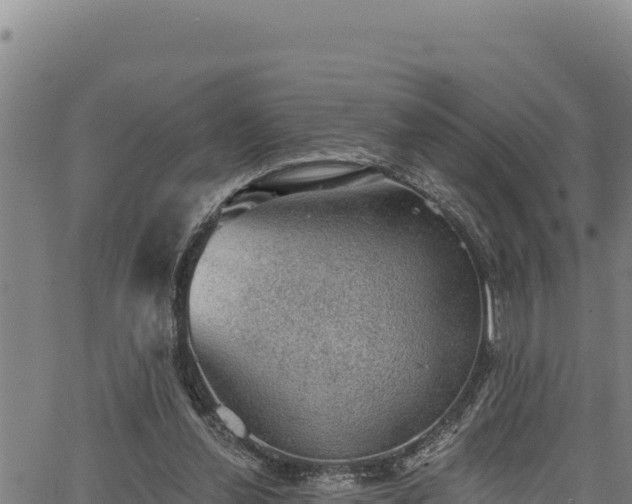 X0000066950252200603311449