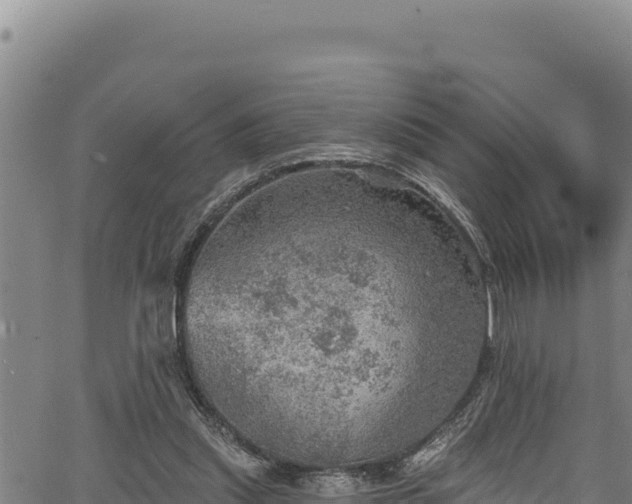 X0000066950253200603311449