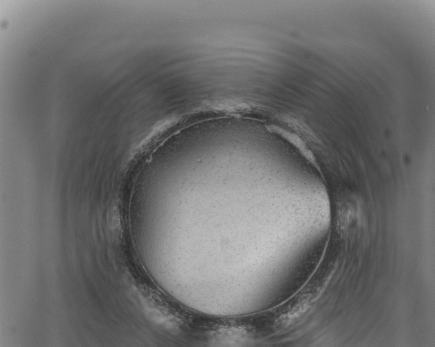 X0000066950256200603311449