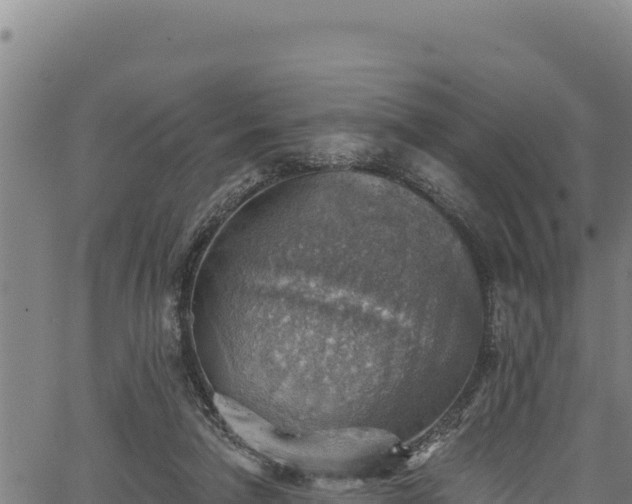 X0000066950258200603311449