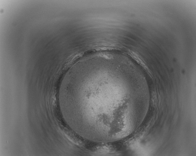 X0000066950259200603311449